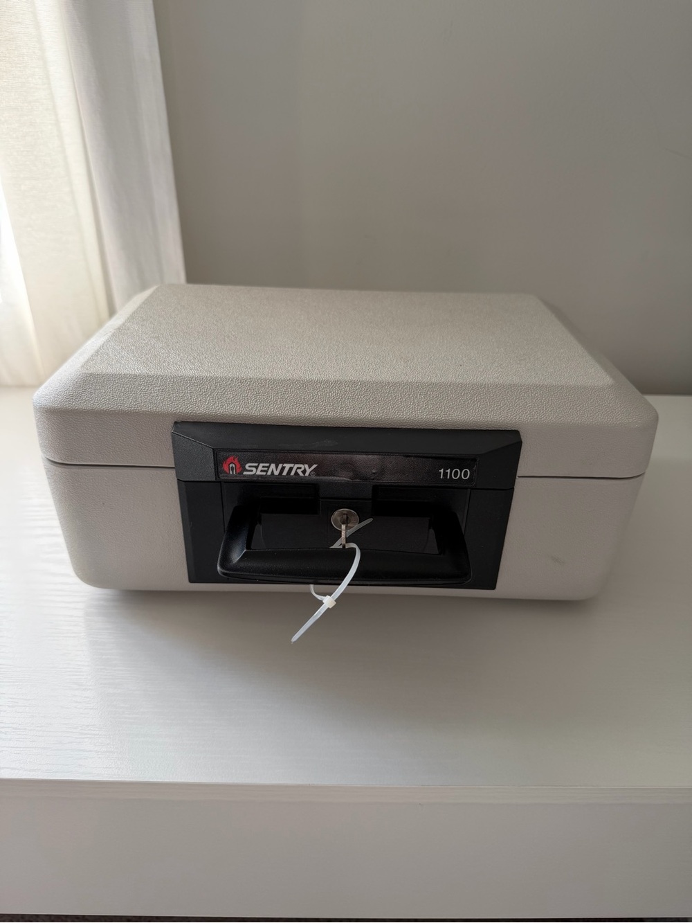 Sentry Safe